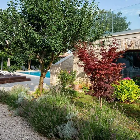 Lv Guest house